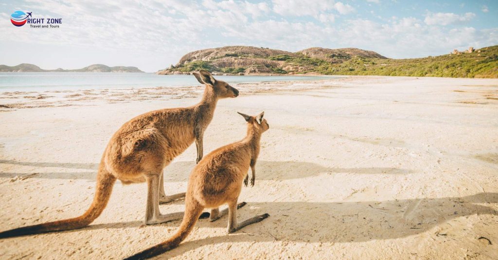 Journey to the Land of Kangaroos: Australia Visit Visa from Pakistan Awaits!